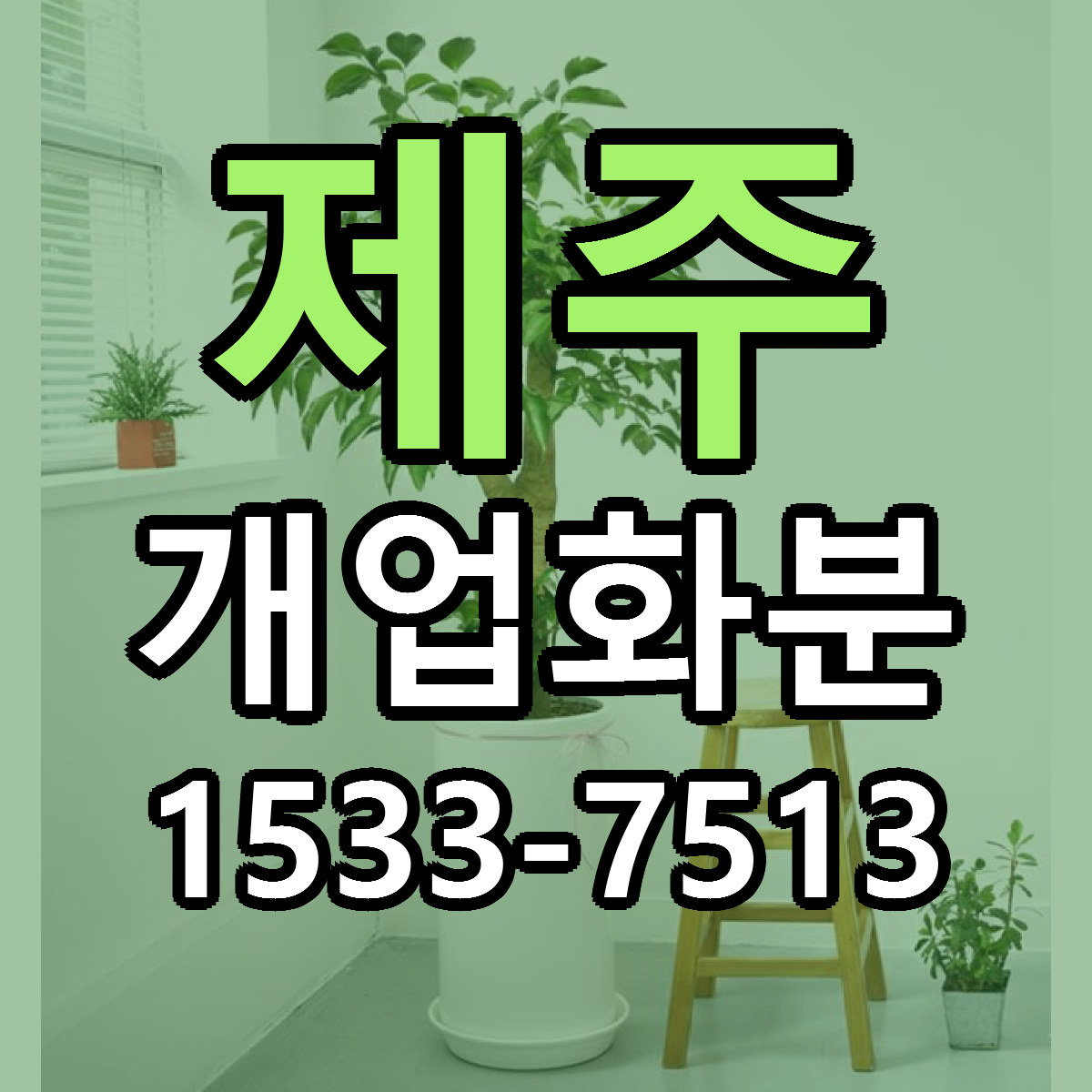 제주 개업화분 빠른배송 리본문구 근처꽃집 예약
