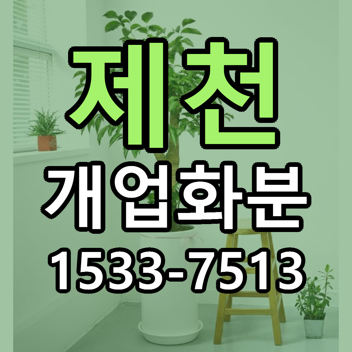 제천 개업화분 근처꽃집 가격 저렴한곳 안내