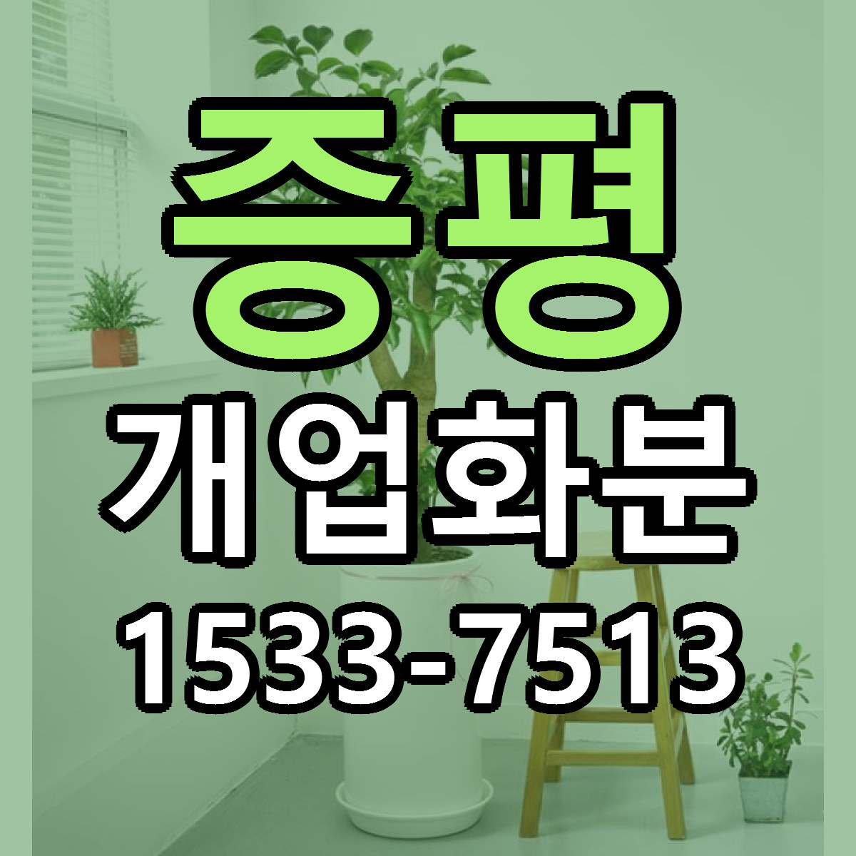 증평 개업화분 싼곳 빠른배송 리본문구 무료