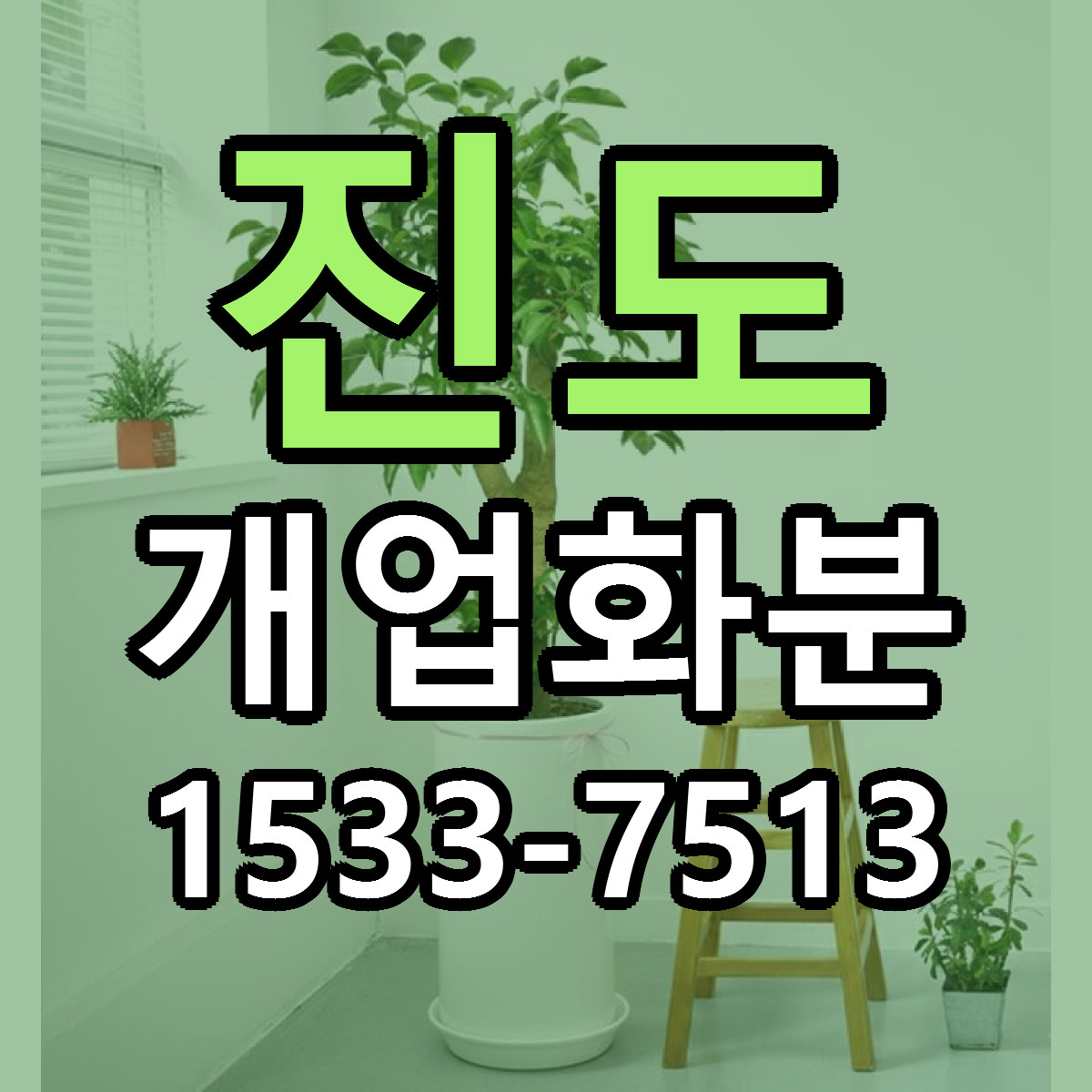 진도 개업화분 빠른배송 리본문구 근처꽃집 예약