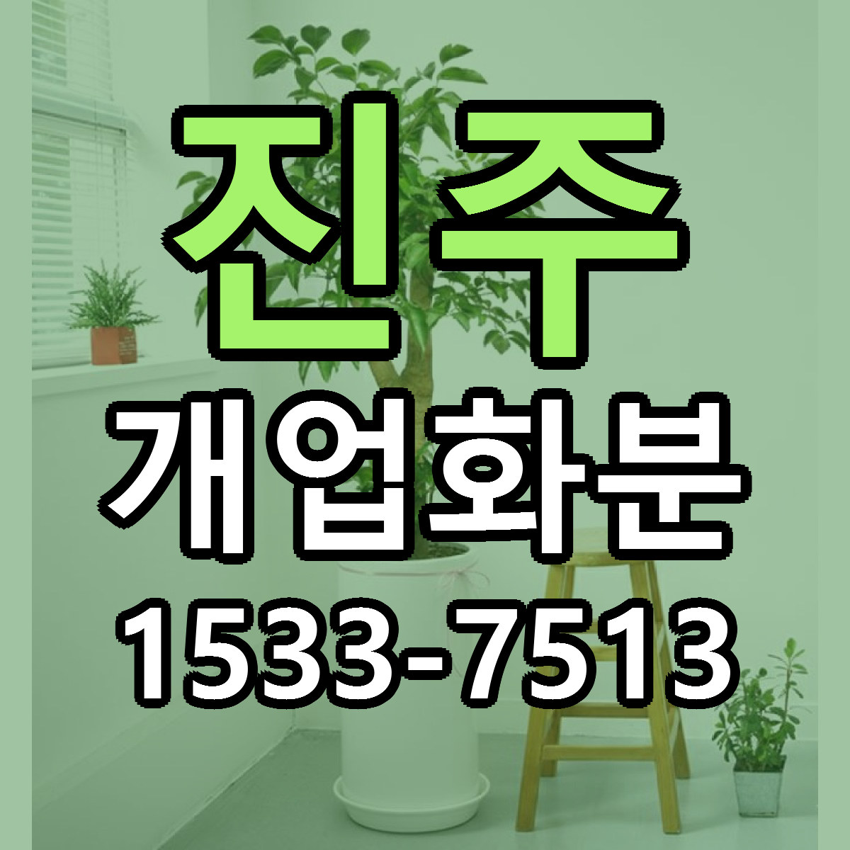 진주 개업화분 가격 만족 저렴한곳 리본문구 작성