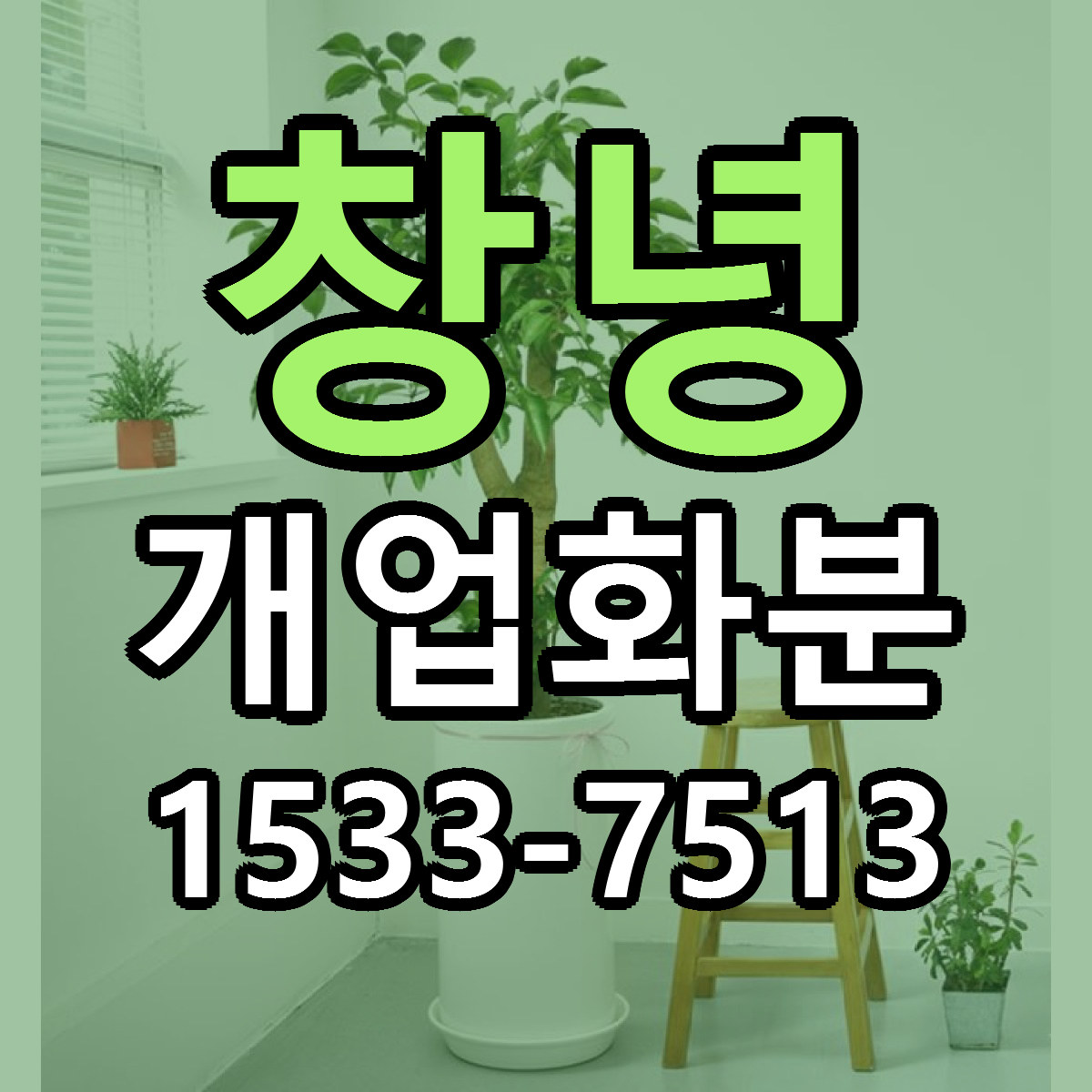 창녕 개업화분 빠른배송 가격 저렴한곳 찾기