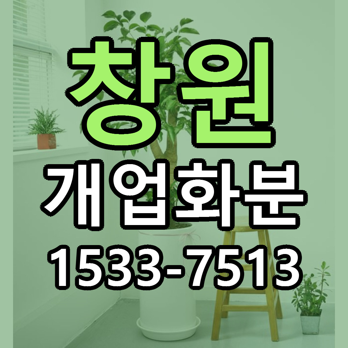 창원 개업화분 당일배송 가격 저렴한곳 추천