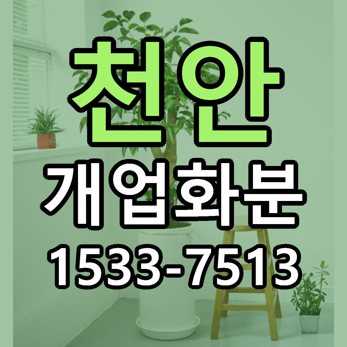 천안 개업화분 가격 만족 저렴한곳 리본문구 작성