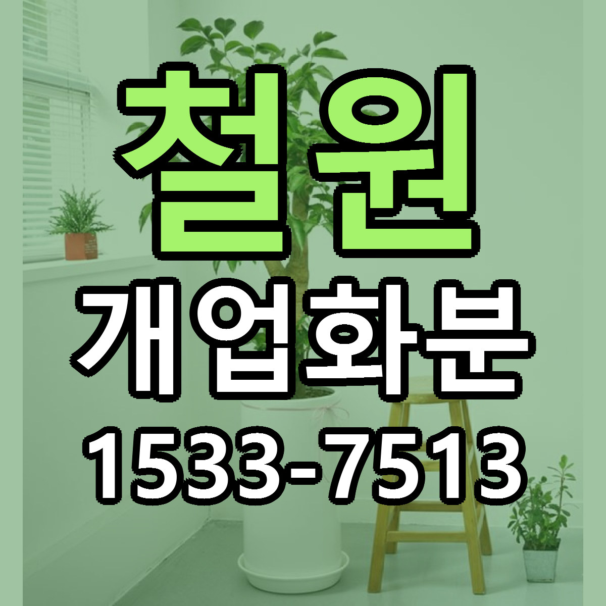 철원 개업화분 근처꽃집 빠른배송 가격 문의