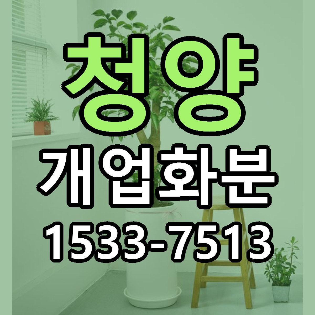 청양 개업화분 가격 만족 저렴한곳 리본문구 작성