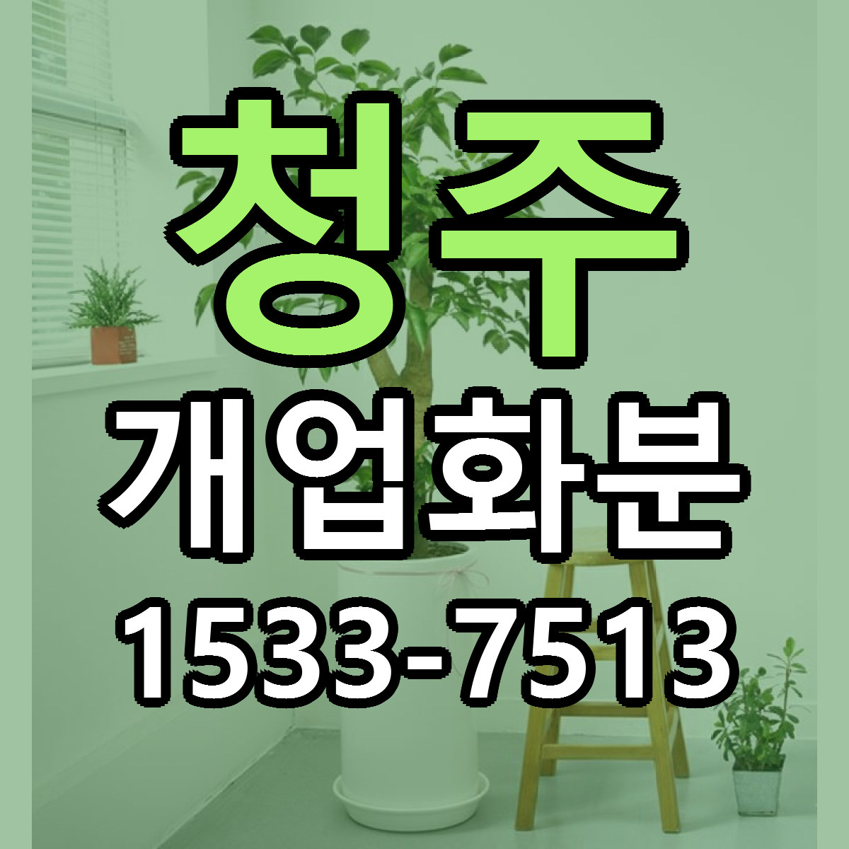 청주 개업화분 당일배송 싼곳 리본문구 안내
