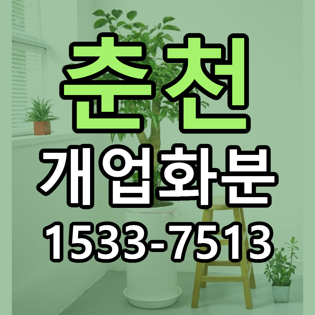 춘천 개업화분 근처꽃집 가격 저렴한곳 안내