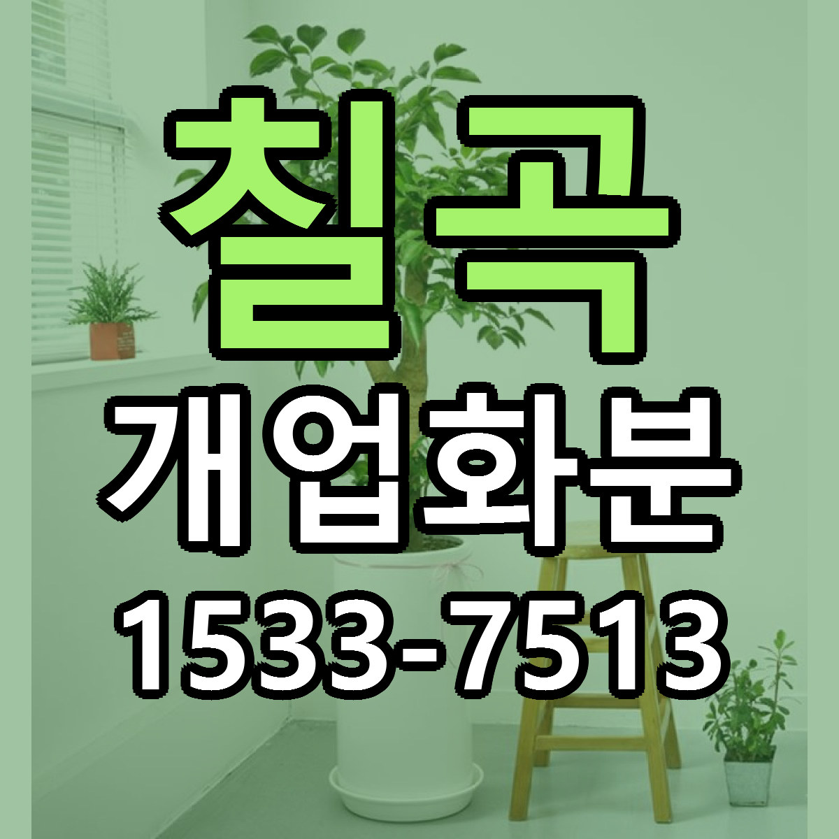 칠곡 개업화분 근처꽃집 당일배송 리본문구 서비스