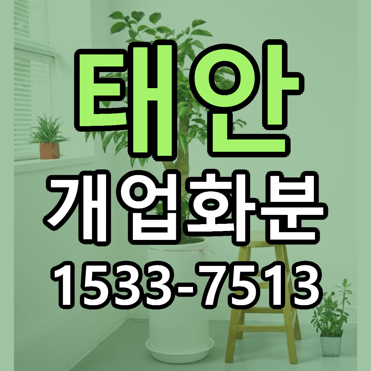 태안 개업화분 근처꽃집 저렴한곳 빠른배송 서비스