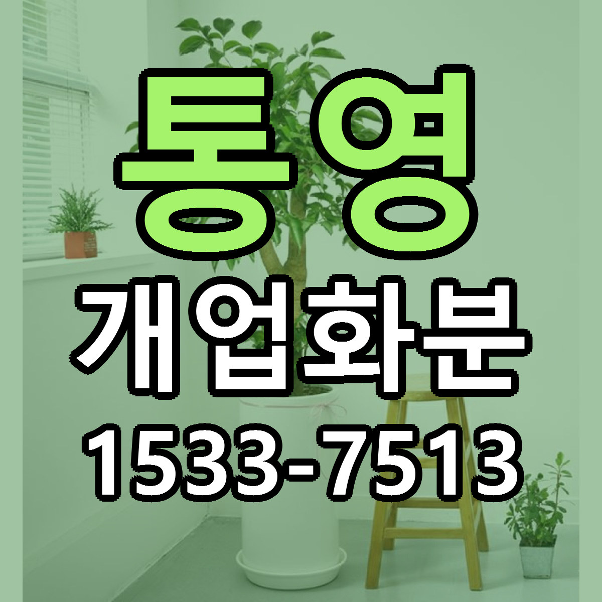 통영 개업화분 근처꽃집 가격 저렴한곳 안내