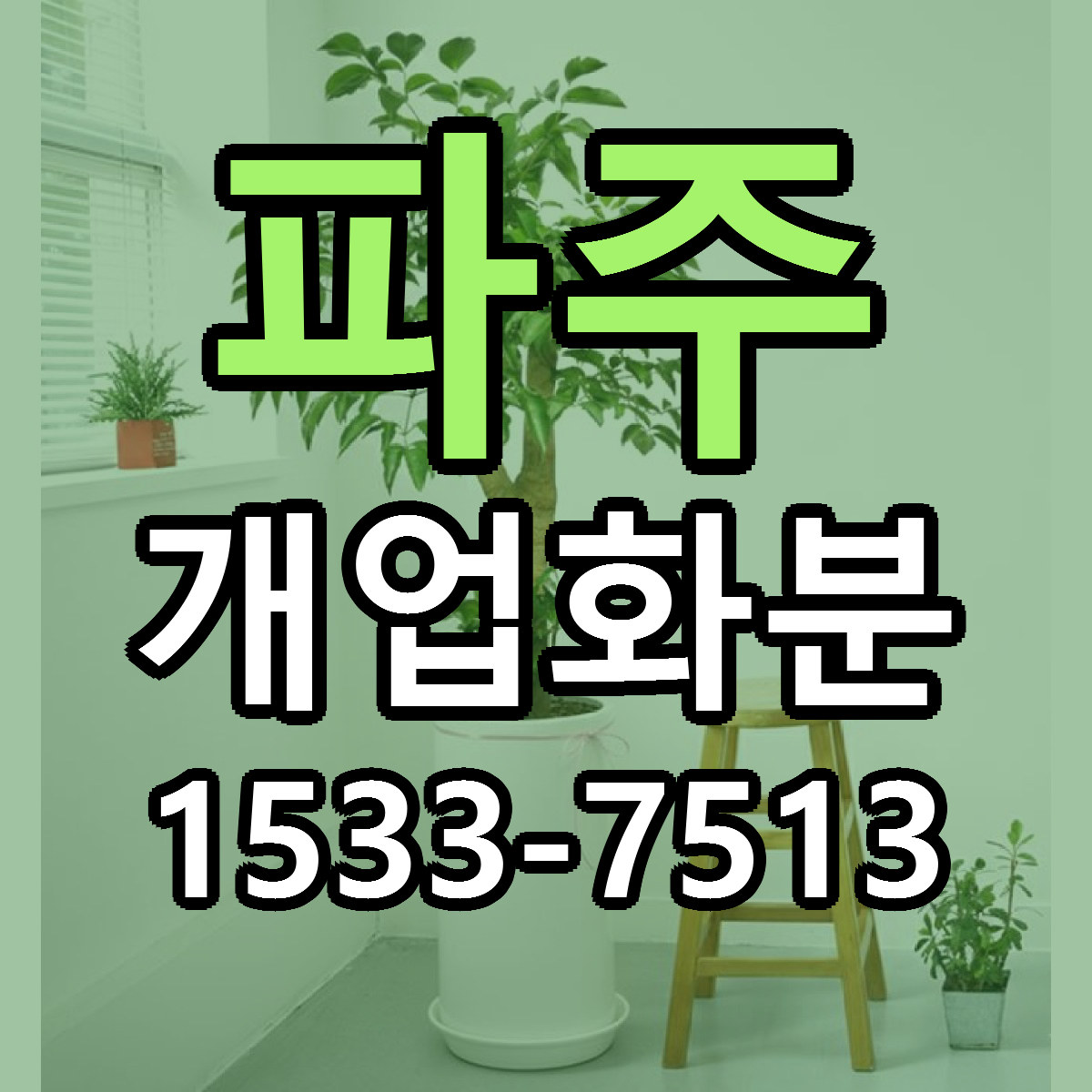 파주 개업화분 빠른배송 가격 저렴한곳 찾기