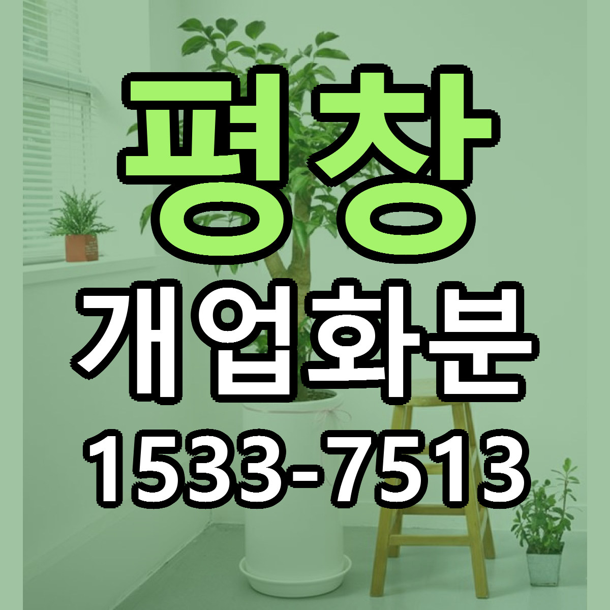 평창 개업화분 근처꽃집 빠른배송 가격 문의