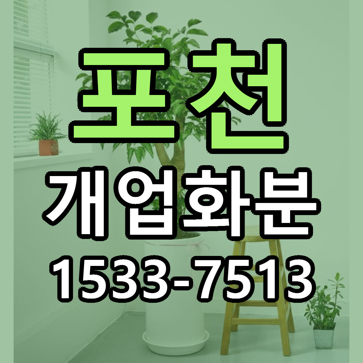 포천 개업화분 가격 만족 저렴한곳 리본문구 작성