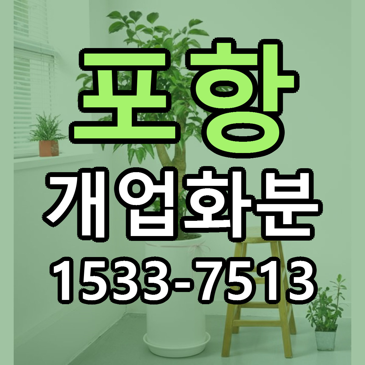 포항 개업화분 당일배송 리본문구 싼곳 찾기