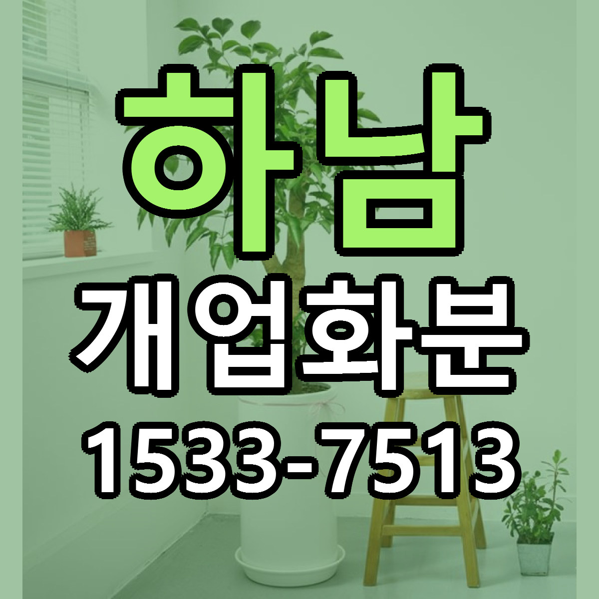 하남 개업화분 빠른배송 리본문구 가격 알뜰 비교