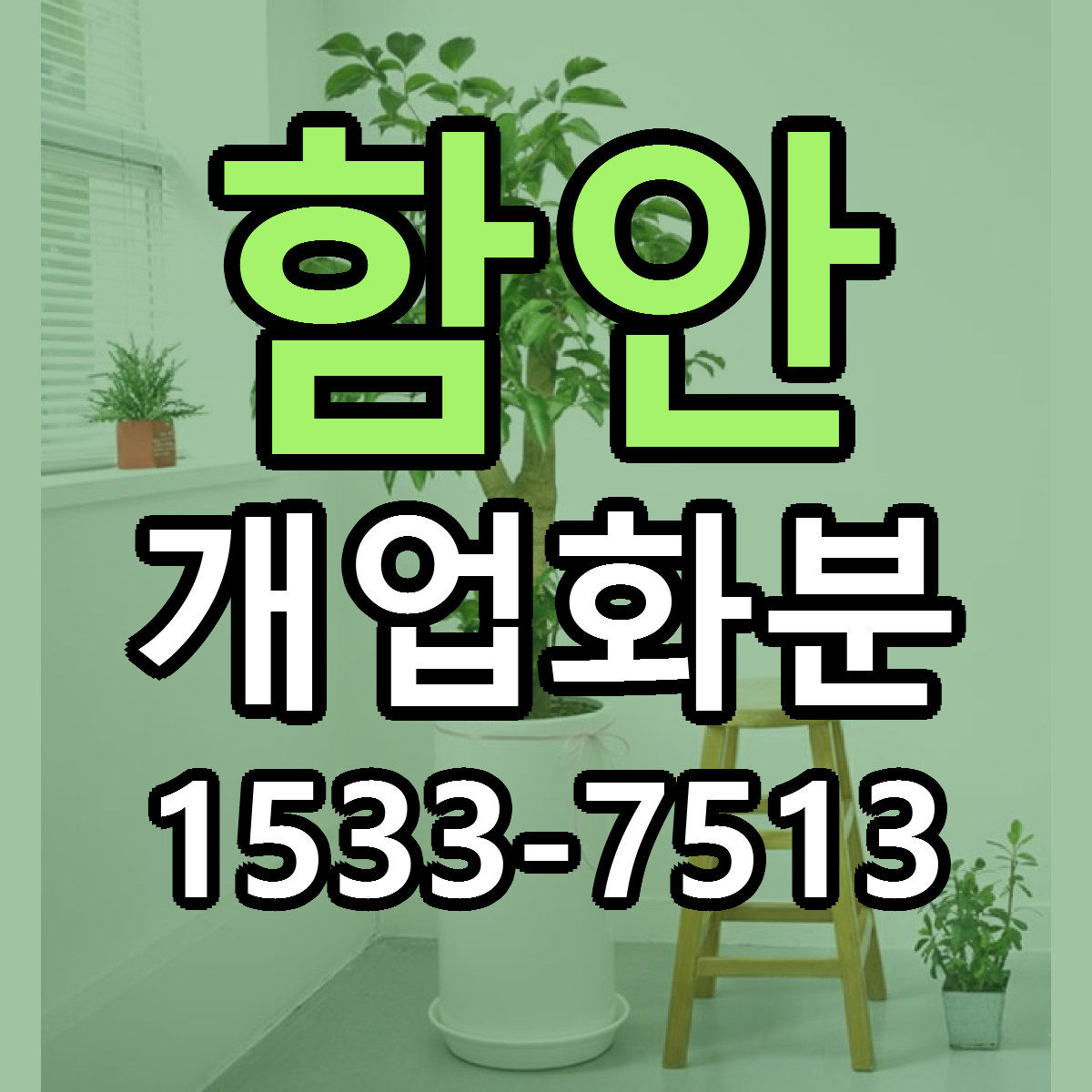 함안 개업화분 빠른배송 리본문구 가격 알뜰 비교