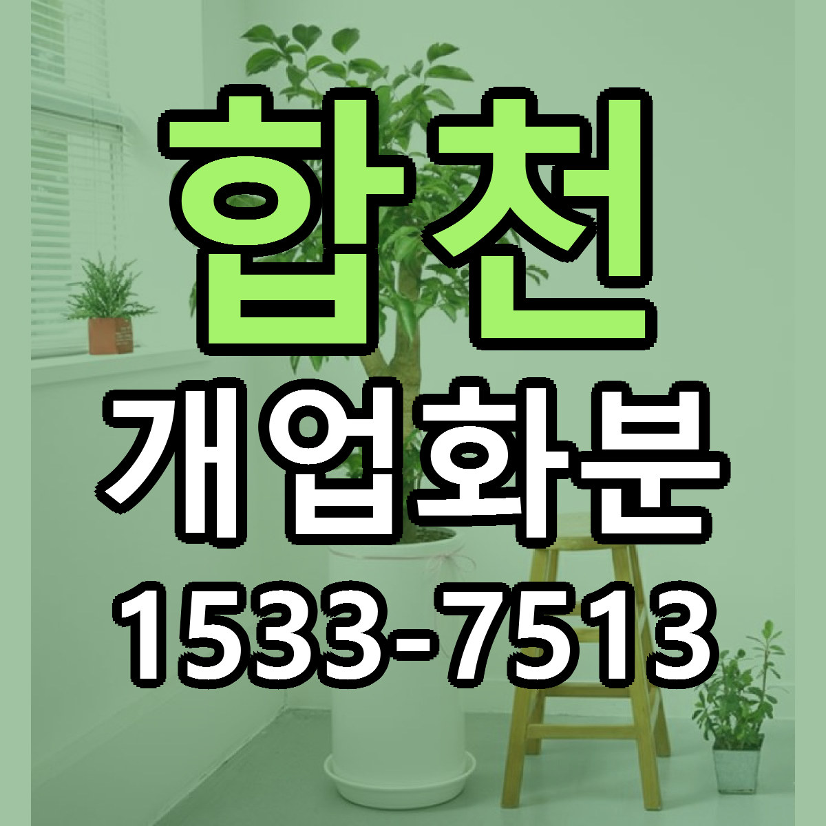 합천 개업화분 당일배송 근처꽃집 싼곳 비교