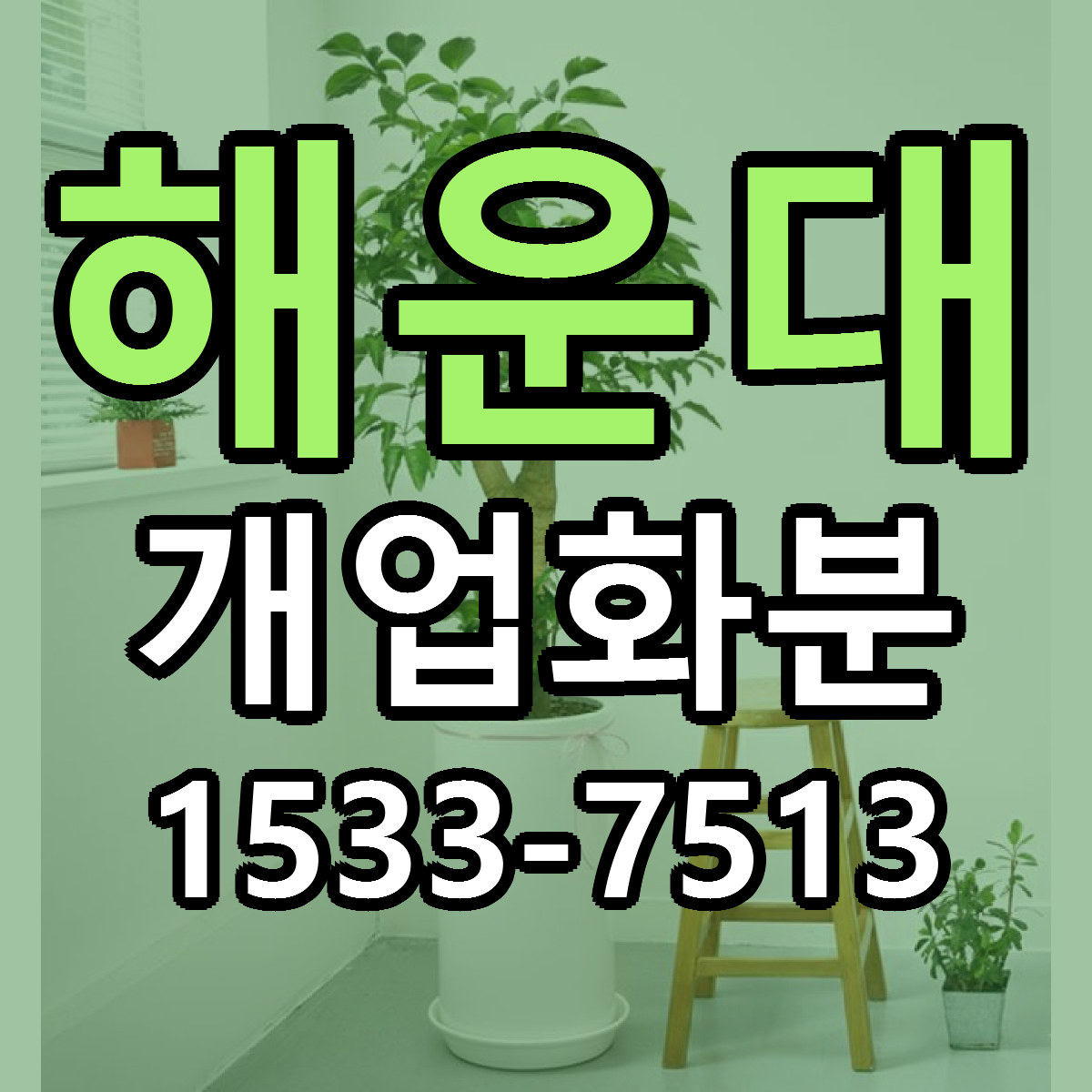 해운대 개업화분 빠른배송 리본문구 가격 알뜰 비교