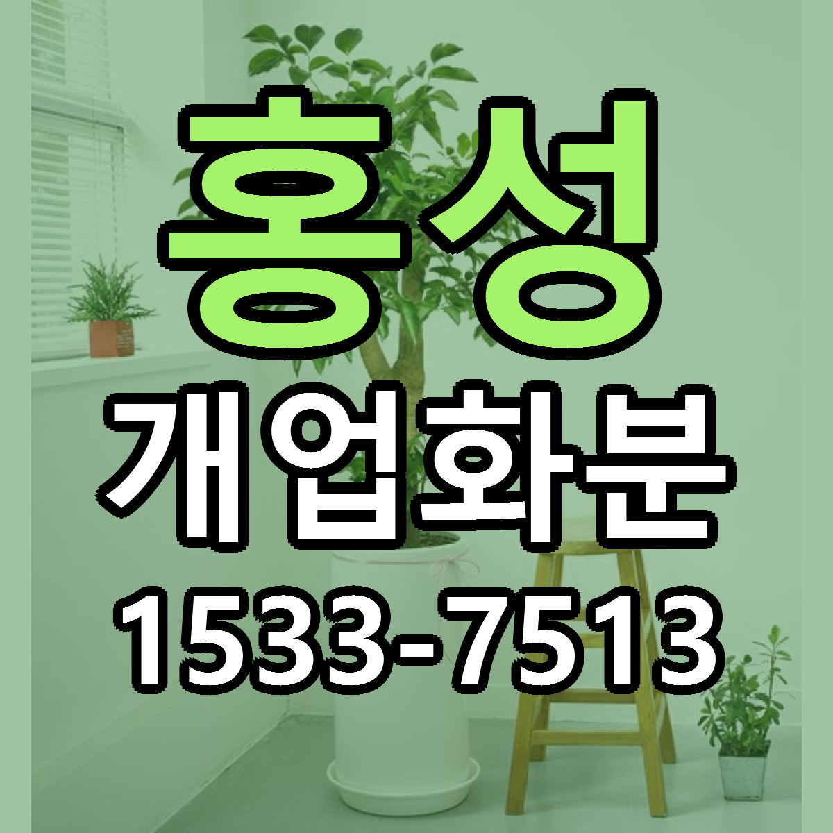 홍성 개업화분 빠른배송 저렴한곳 가격 정리
