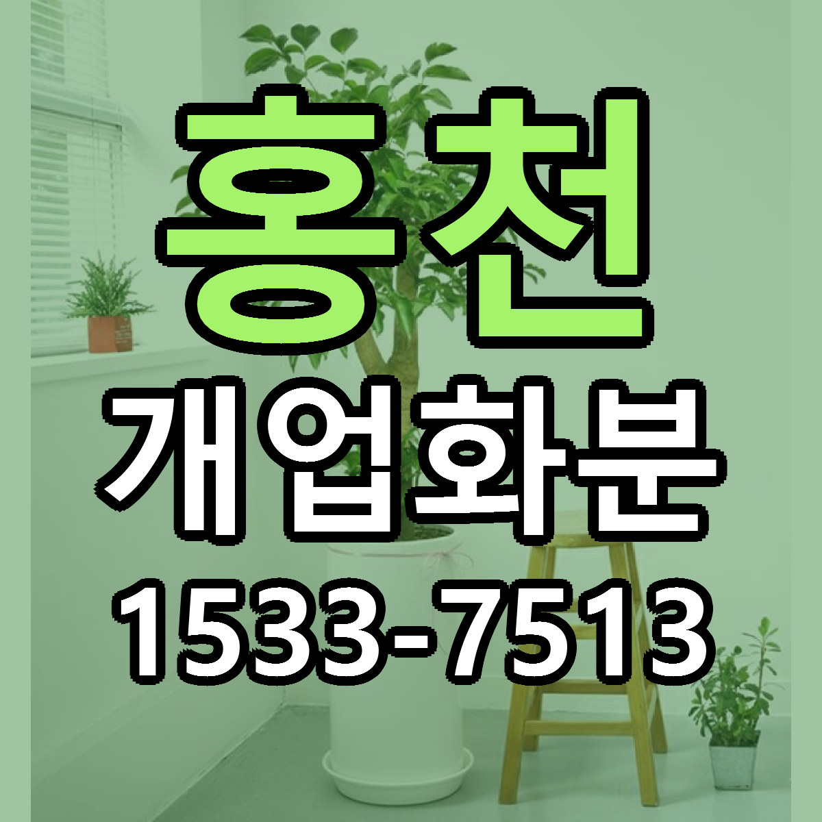 홍천 개업화분 당일배송 싼곳 리본문구 안내