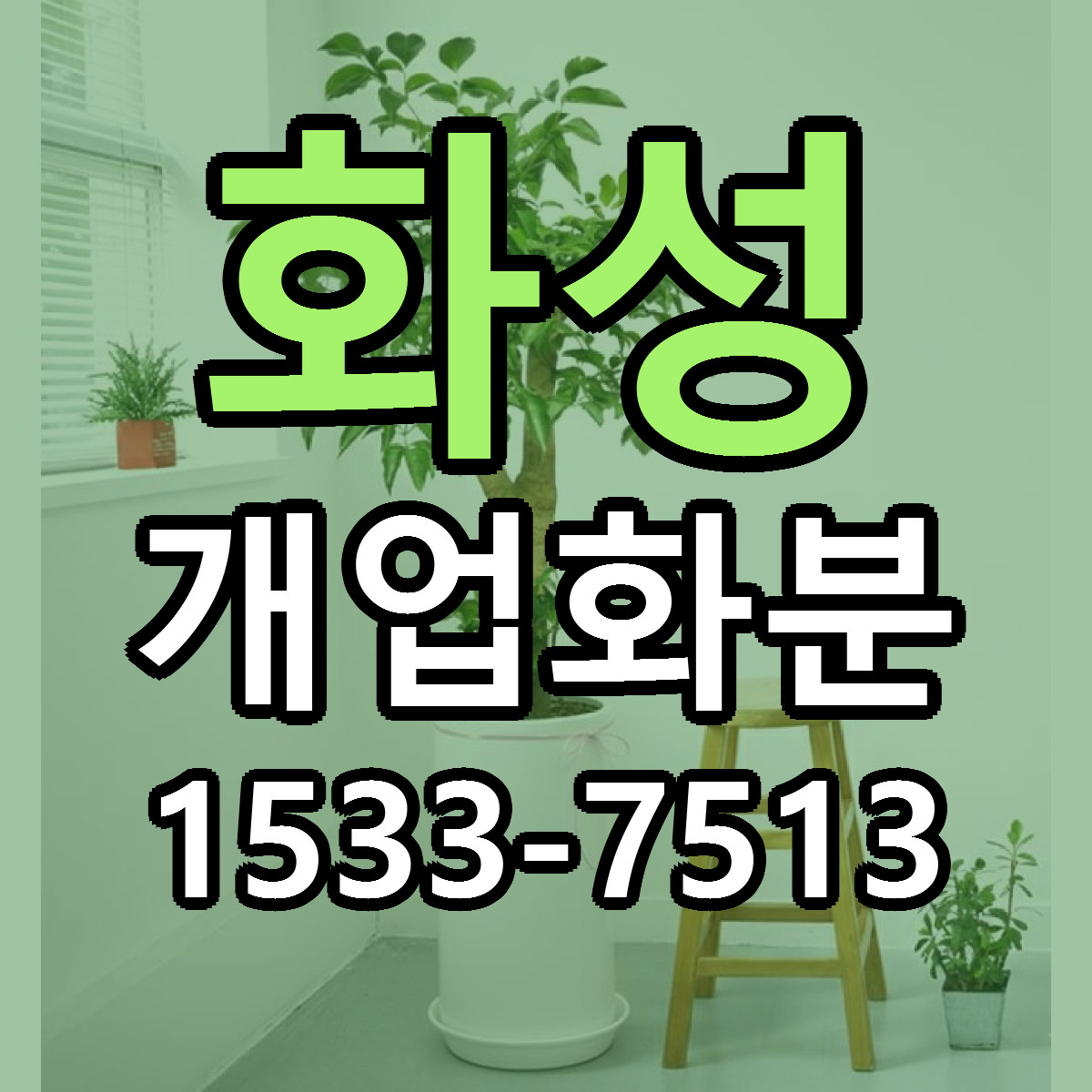 화성 개업화분 싼곳 당일배송 리본문구 작성