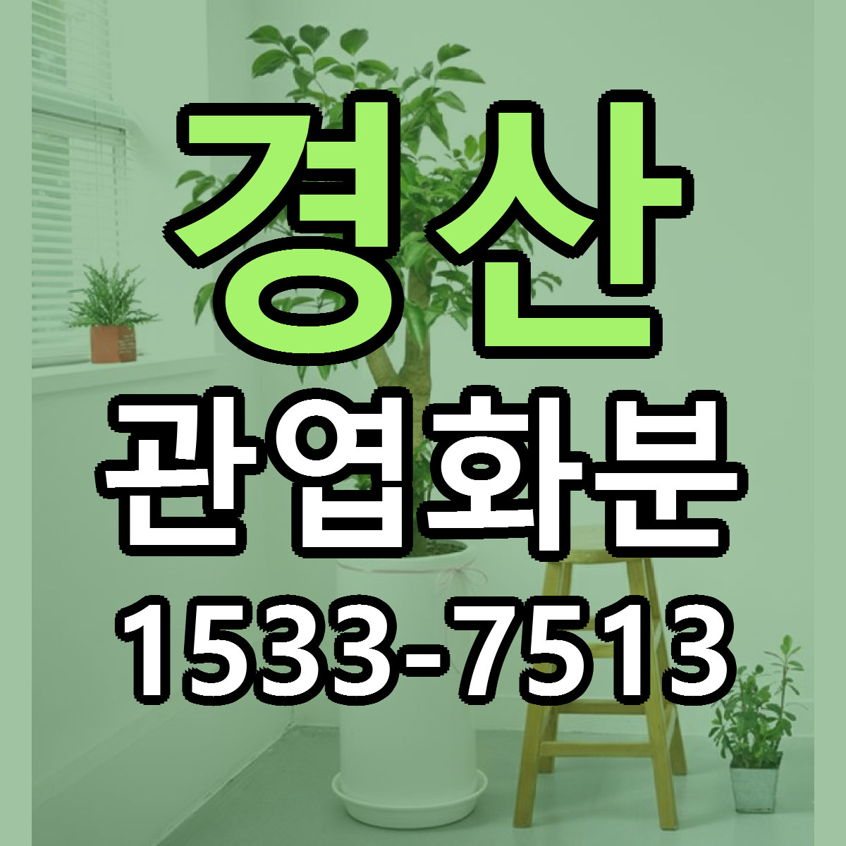 경산 관엽화분 당일배송 근처꽃집 싼곳 비교