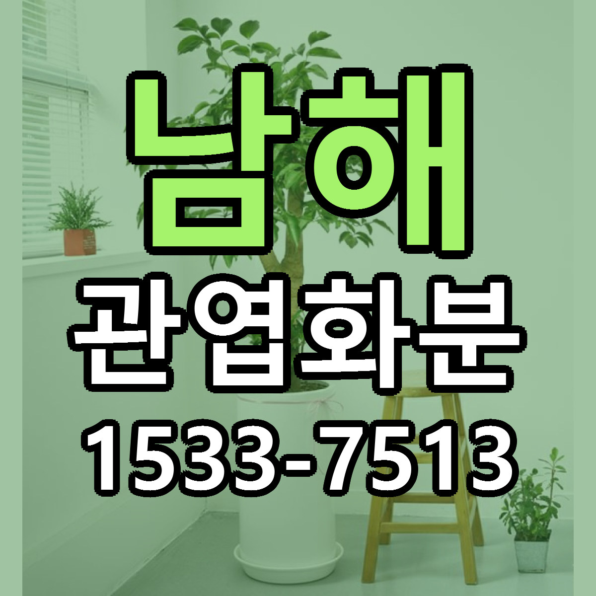 남해 관엽화분 가격 만족 저렴한곳 리본문구 작성