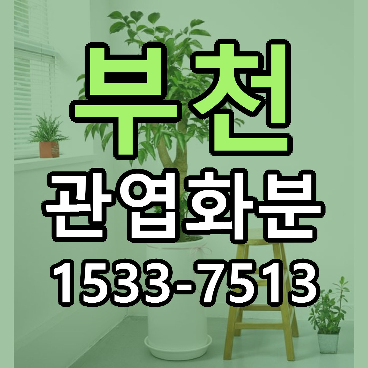 부천 관엽화분 리본문구 근처꽃집 저렴한곳 예약