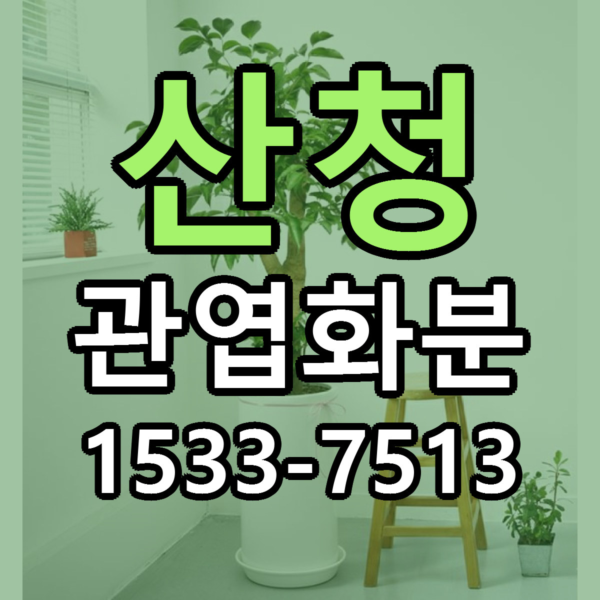 산청 관엽화분 싼곳 당일배송 리본문구 작성