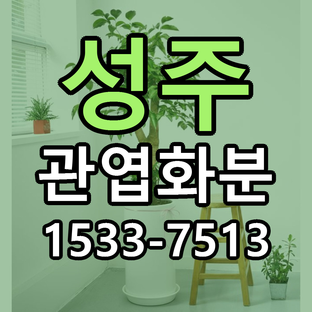 성주 관엽화분 저렴한곳 당일배송 근처꽃집 추천