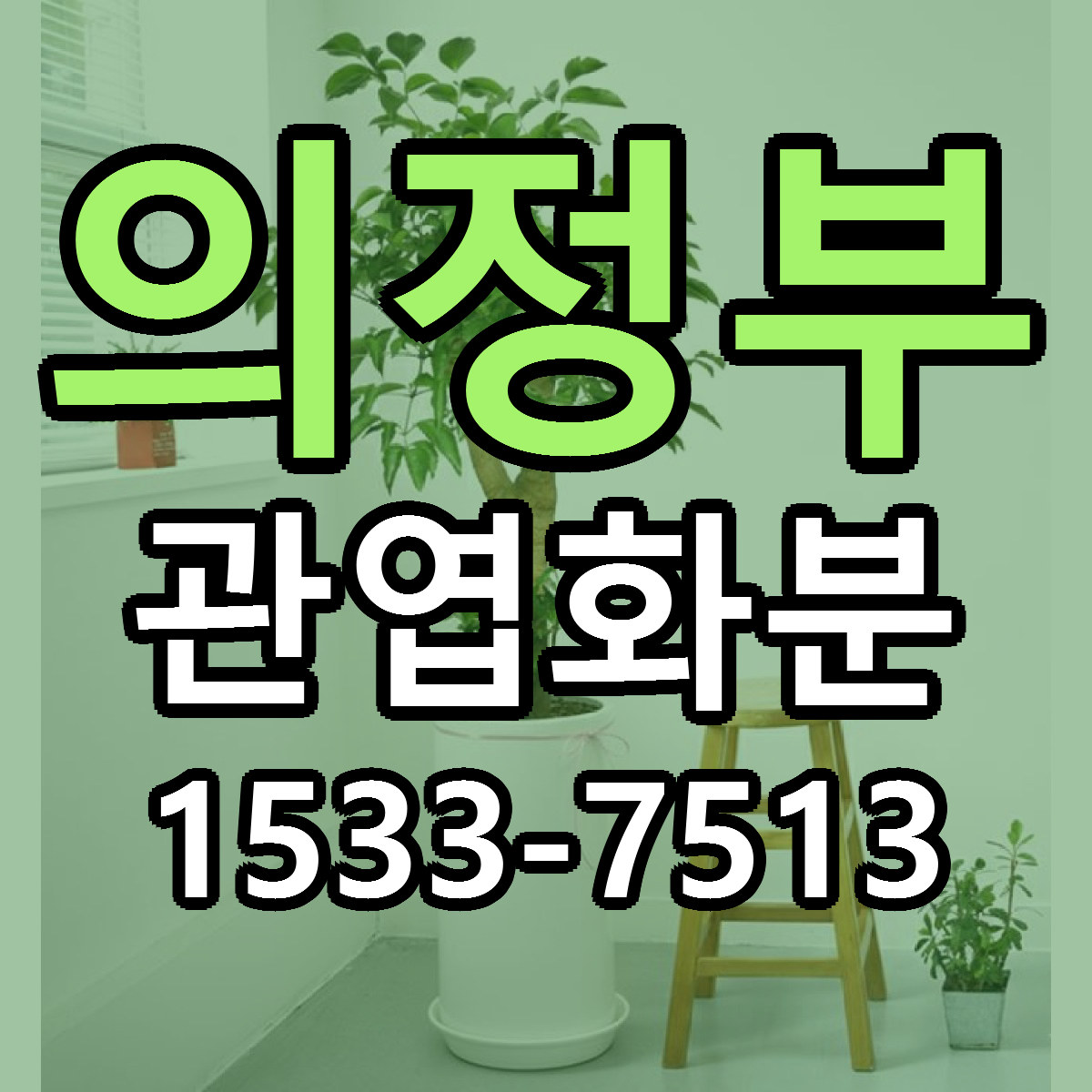 의정부 관엽화분 저렴한곳 당일배송 근처꽃집 추천