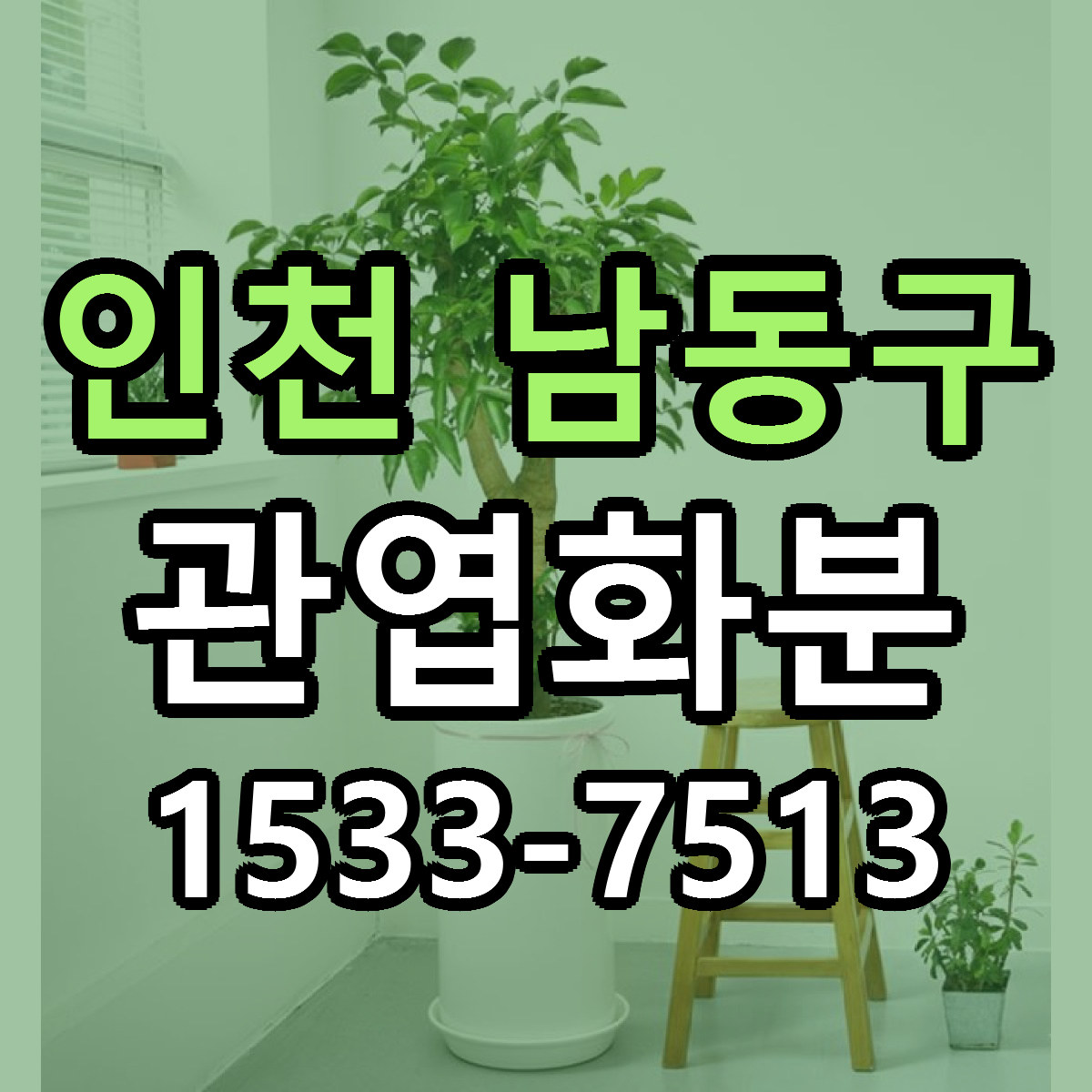 인천 남동구 관엽화분 근처꽃집 당일배송 가격 안내