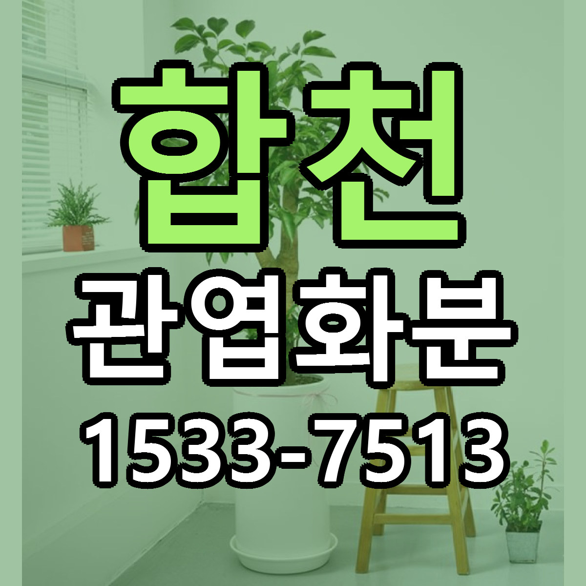 합천 관엽화분 당일배송 저렴한곳 리본문구 추천