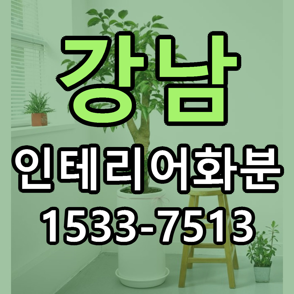 강남 인테리어화분 근처꽃집 저렴한곳 빠른배송 서비스