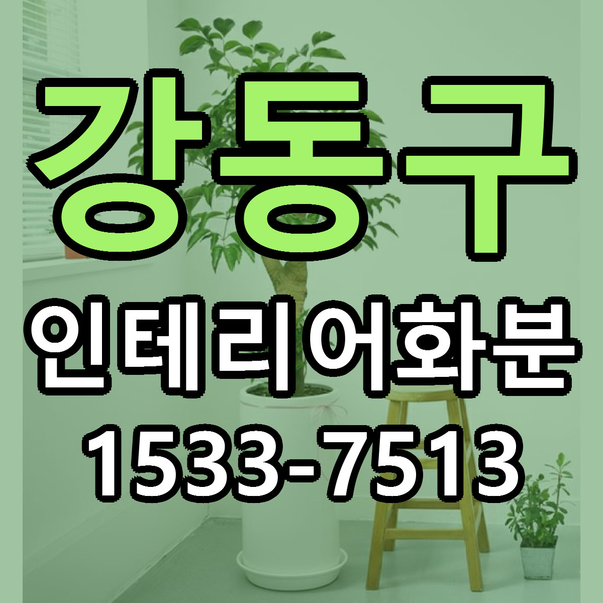 강동구 인테리어화분 당일배송 저렴한곳 리본문구 추천