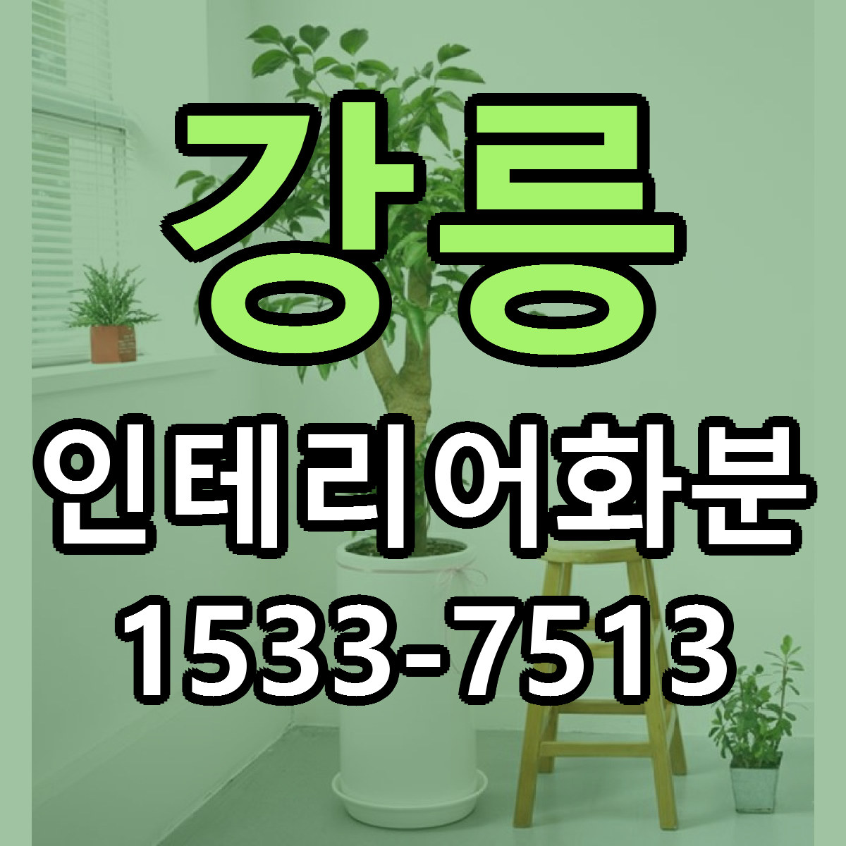 강릉 인테리어화분 당일배송 싼곳 리본문구 안내