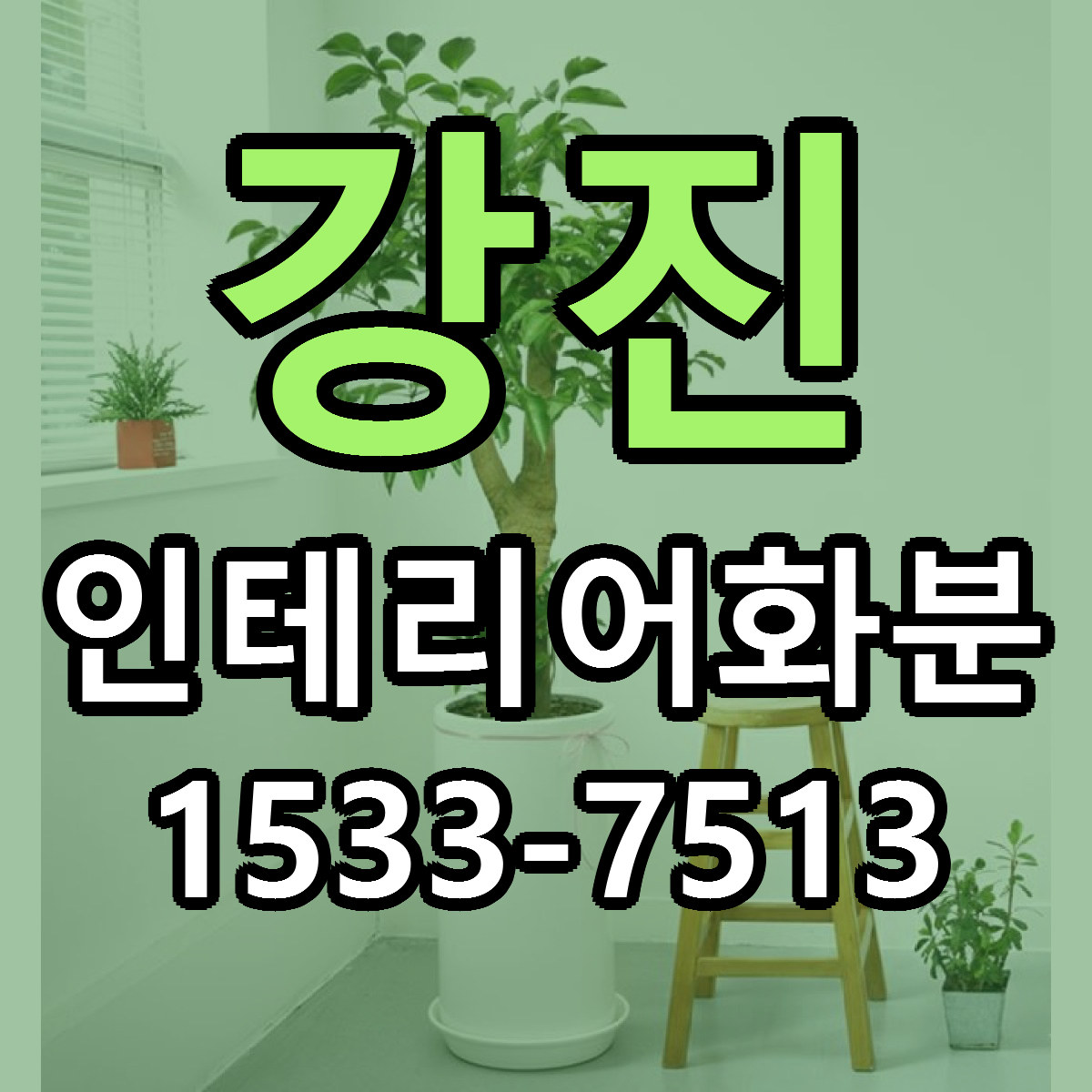 강진 인테리어화분 근처꽃집 저렴한곳 빠른배송 서비스