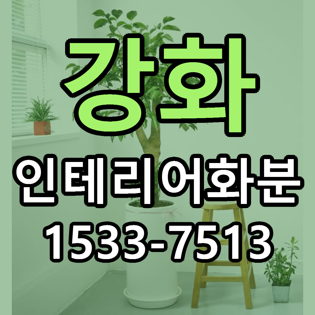 강화 인테리어화분 리본문구 서비스 저렴한곳 빠른배송