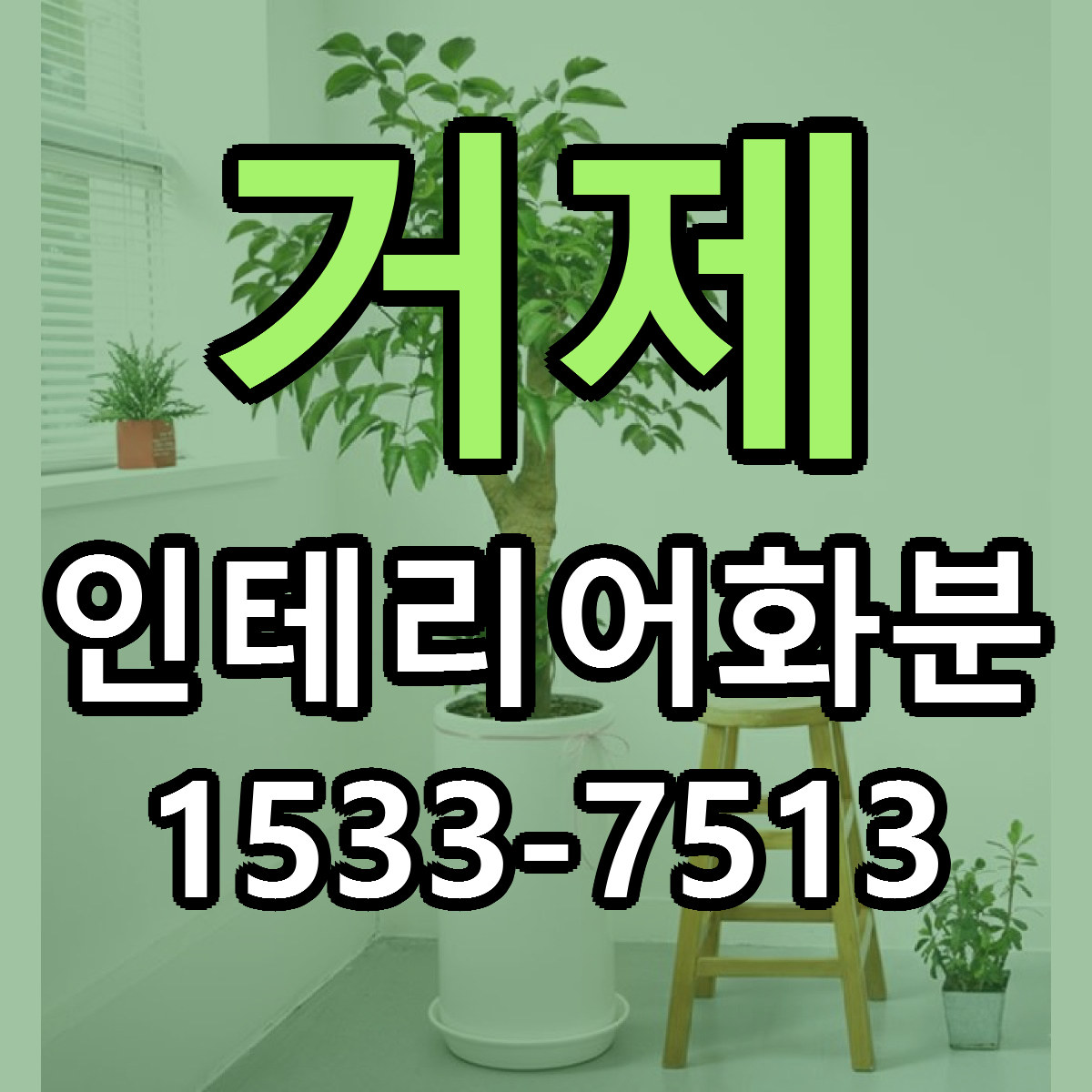 거제 인테리어화분 당일배송 가격 저렴한곳 추천