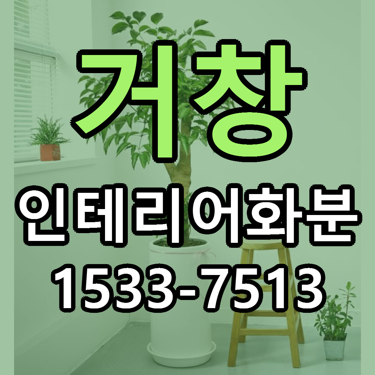 거창 인테리어화분 근처꽃집 가격 저렴한곳 안내