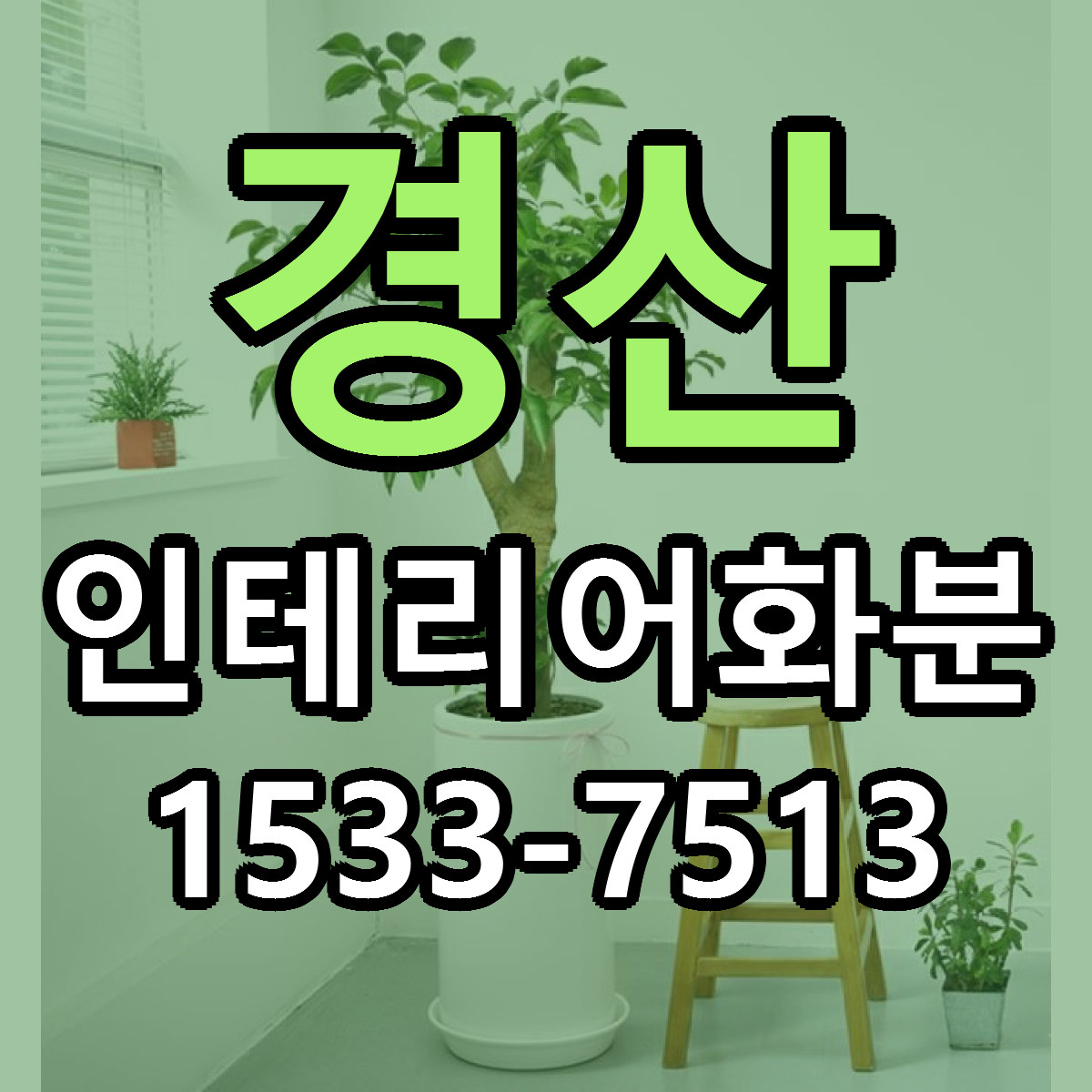 경산 인테리어화분 빠른배송 싼곳 가격 문의