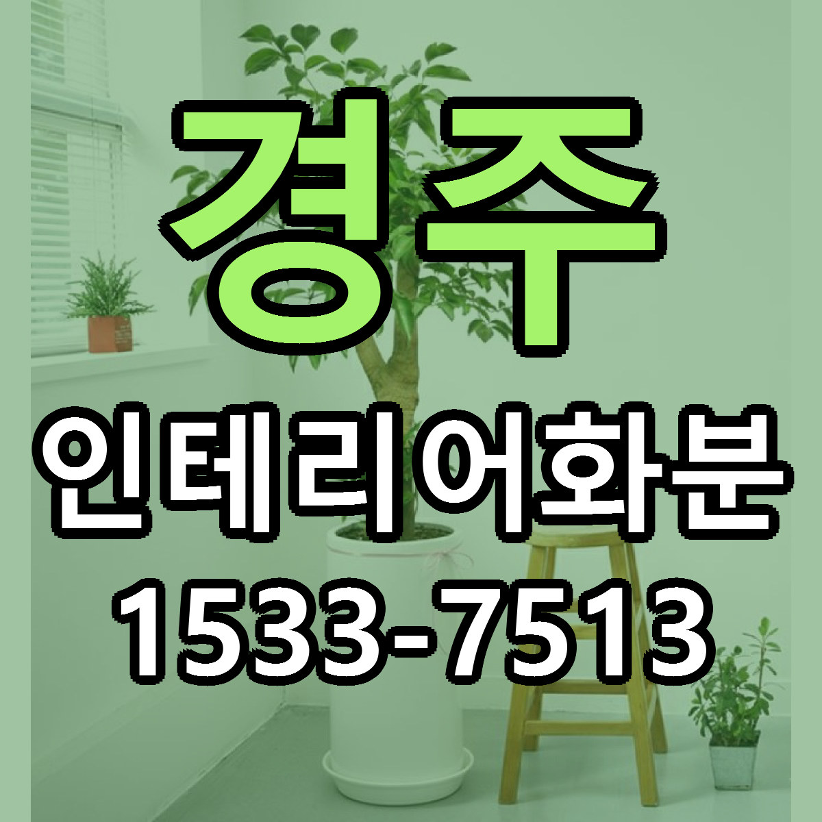 경주 인테리어화분 빠른배송 리본문구 근처꽃집 예약