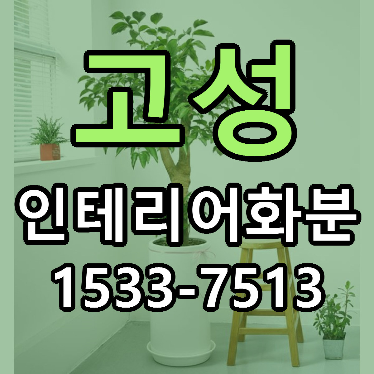 고성 인테리어화분 근처꽃집 싼곳 빠른배송 안내