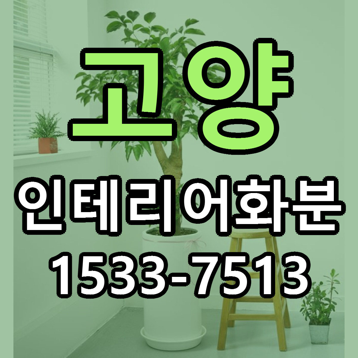 고양 인테리어화분 근처꽃집 저렴한곳 빠른배송 서비스
