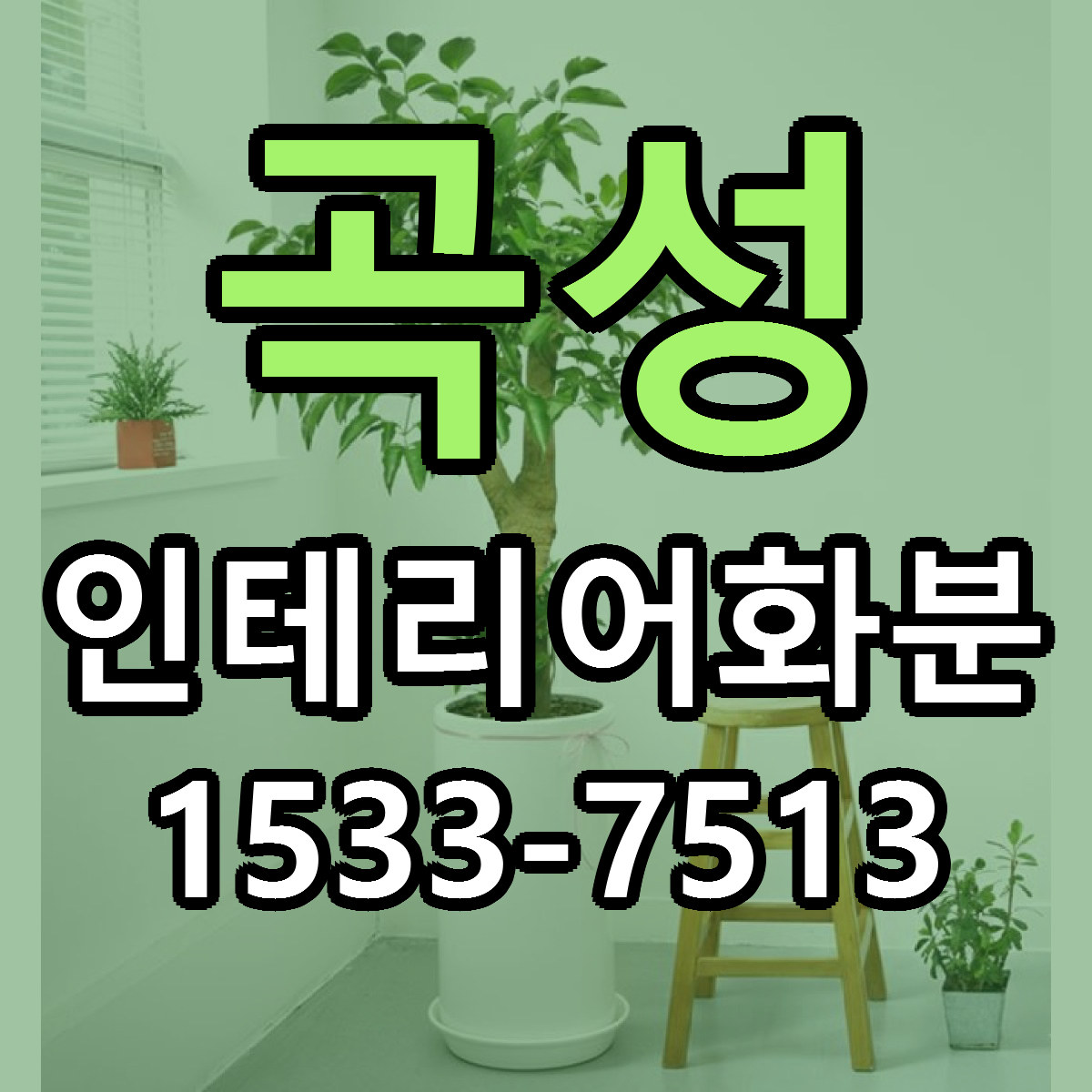 곡성 인테리어화분 당일배송 리본문구 싼곳 찾기