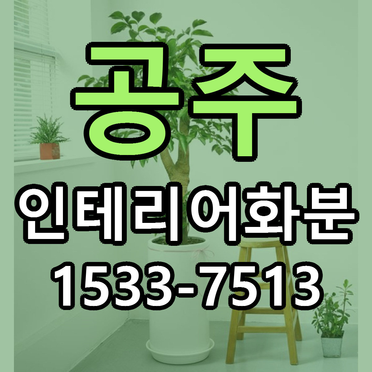 공주 인테리어화분 근처꽃집 싼곳 빠른배송 안내
