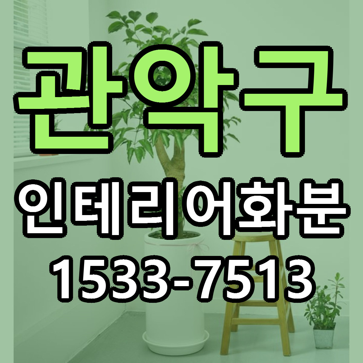 관악구 인테리어화분 리본문구 싼곳 빠른배송 예약