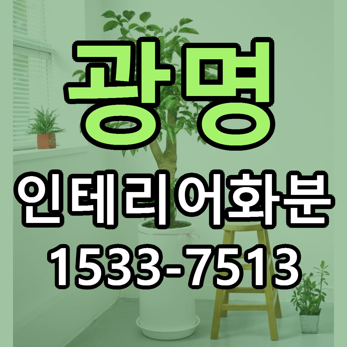 광명 인테리어화분 싼곳 당일배송 빠른배송 추천