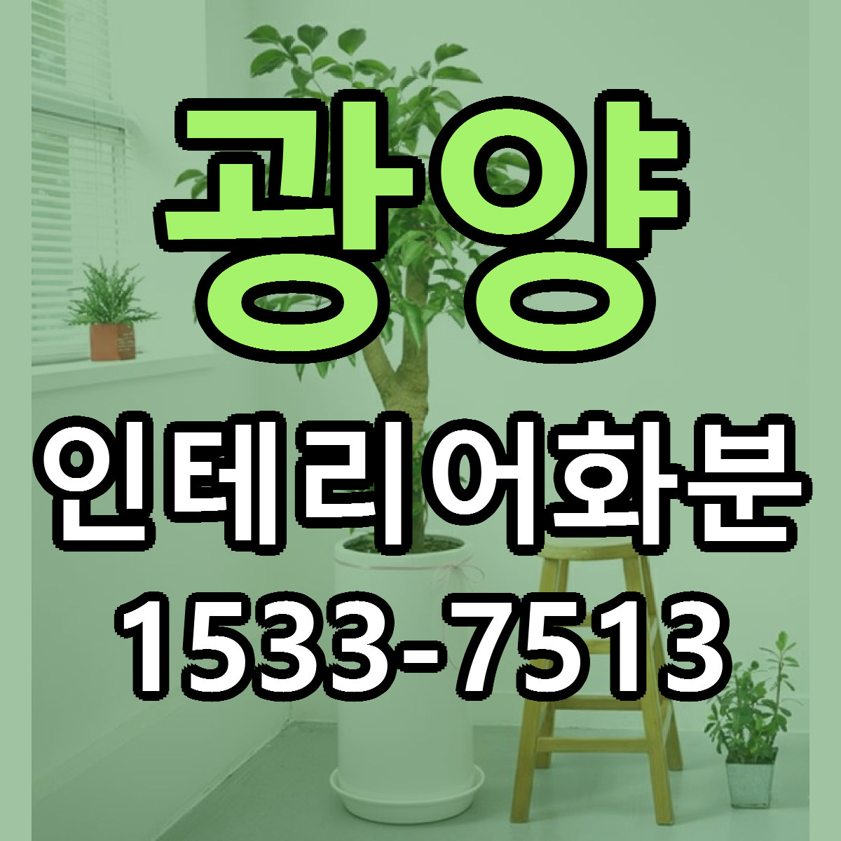 광양 인테리어화분 근처꽃집 당일배송 가격 안내
